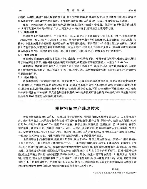 桃树密植丰产栽培技术