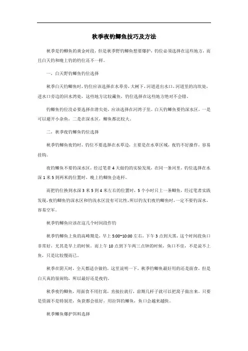 秋季夜钓鲫鱼技巧及方法