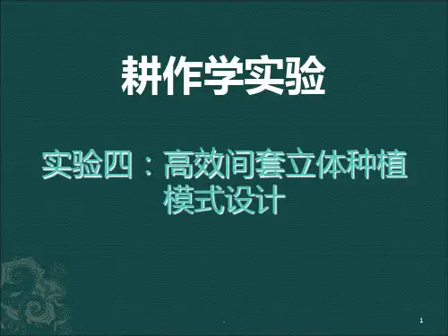 间套作立体种植模式设计PPT课件