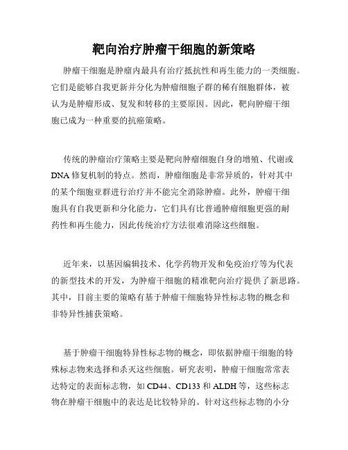 靶向治疗肿瘤干细胞的新策略