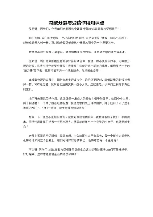 减数分裂与受精作用知识点