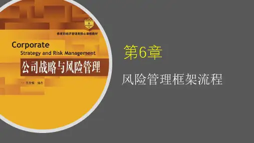 第6章-风险管理框架流程