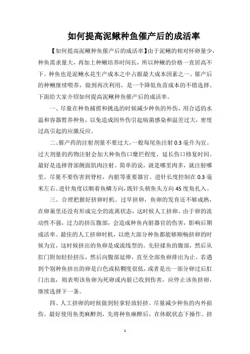 如何提高泥鳅种鱼催产后的成活率