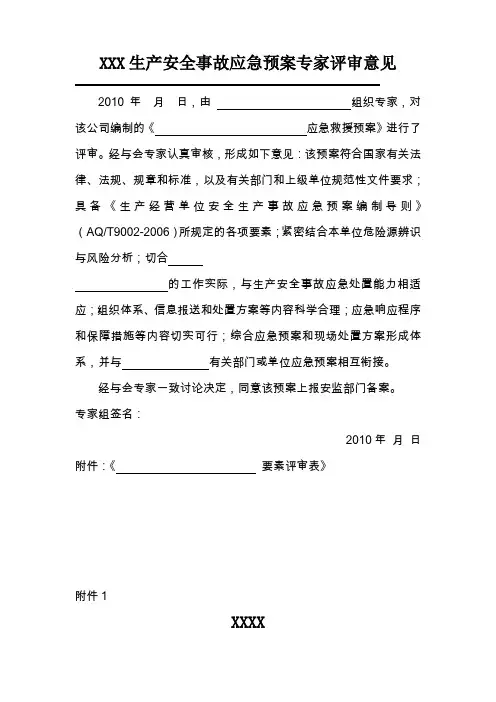 XX生产安全事故应急预案专家评审意见