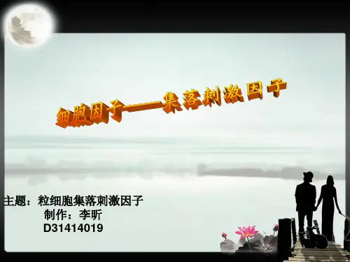 粒细胞集落刺激因子