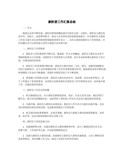 新阶层工作汇报总结