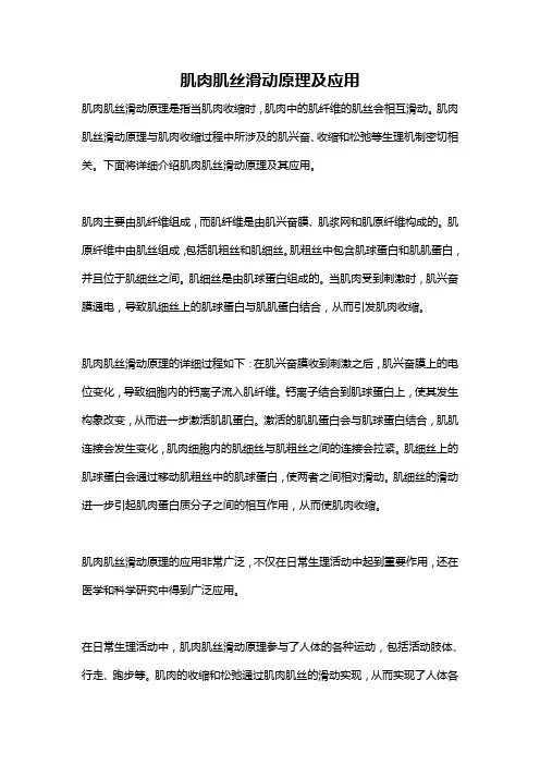 肌肉肌丝滑动原理及应用