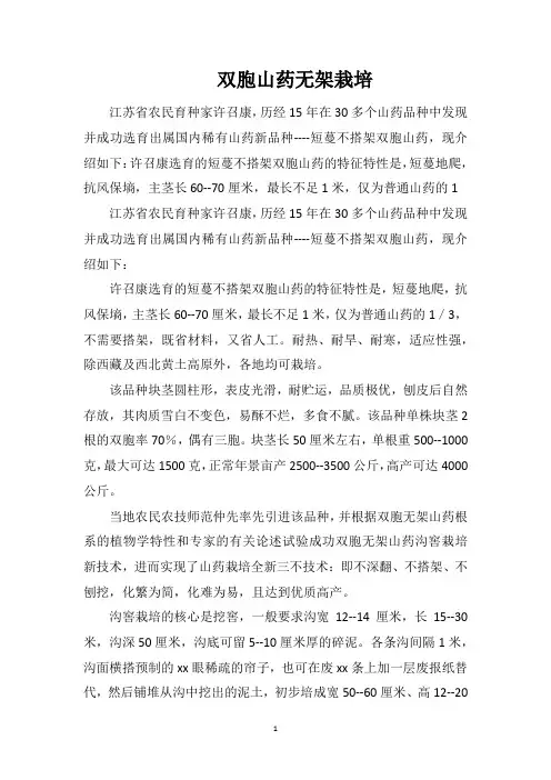 双胞山药无架栽培