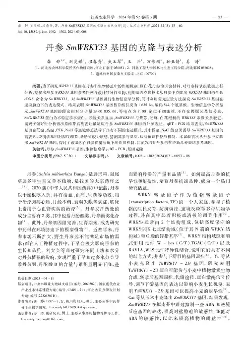 丹参SmWRKY33基因的克隆与表达分析