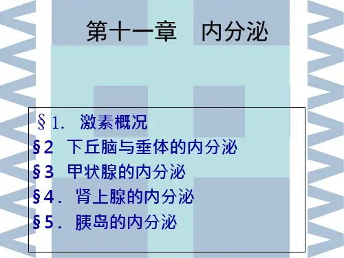 生理学内分泌ppt课件