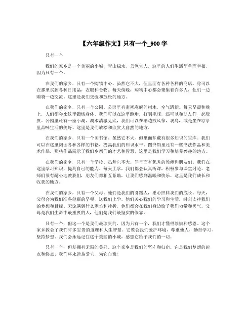 【六年级作文】只有一个_900字
