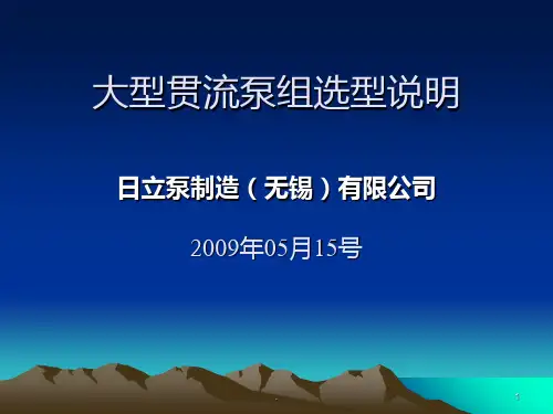 大型贯流泵选型说明PPT课件