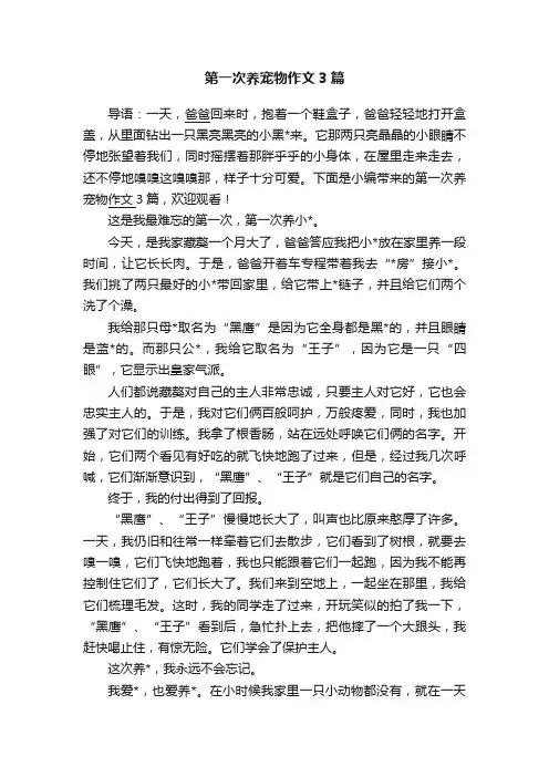第一次养宠物作文3篇