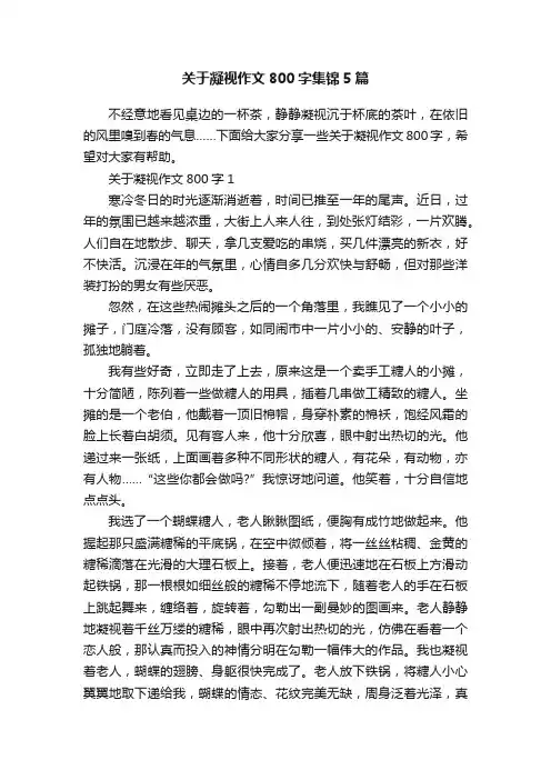 关于凝视作文800字集锦5篇