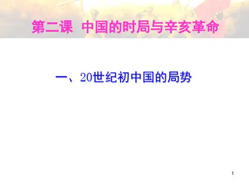20世纪初中国的局势(课堂PPT)