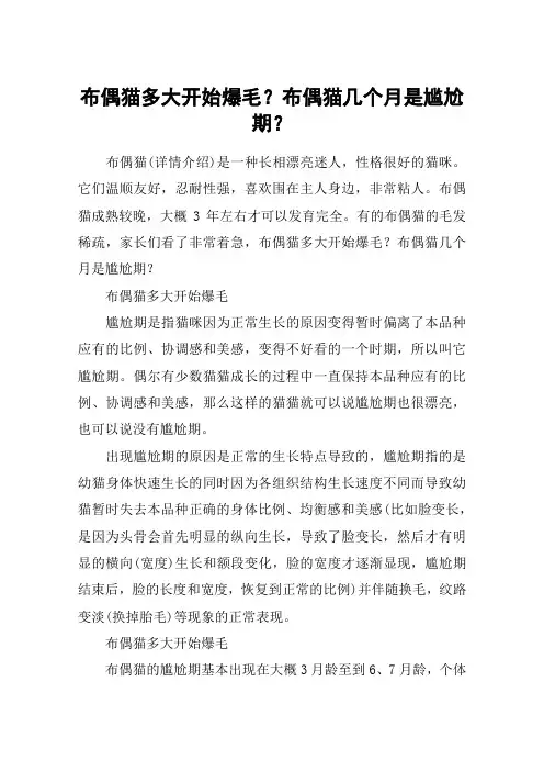 布偶猫多大开始爆毛？布偶猫几个月是尴尬期？
