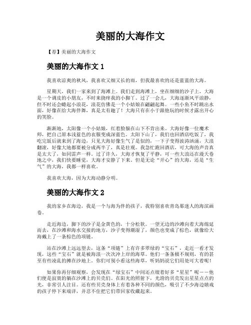 美丽的大海作文