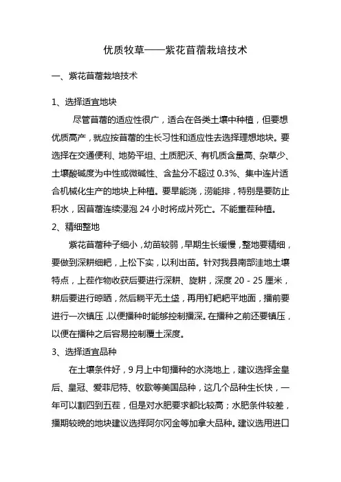 苜蓿种植管理技术