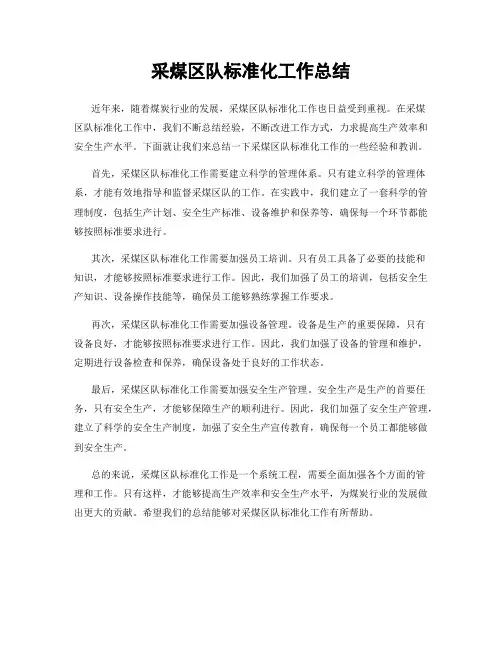 采煤区队标准化工作总结