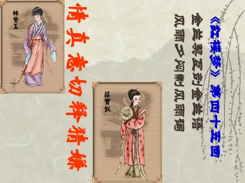 红楼梦四十五回情真意切释猜疑精品PPT课件