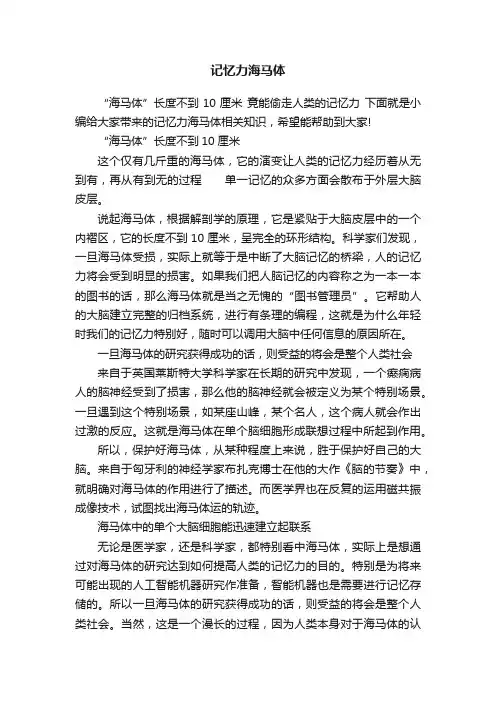 记忆力海马体