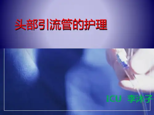 头部引流管的护理PPT课件