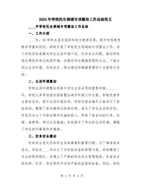 2024年学校民生领域专项整治工作总结范文