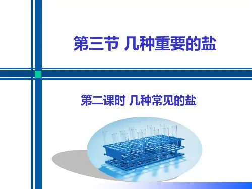 7.3 几种重要的盐(第2课时 几种常见的盐)(备课件)九年级化学下册(沪教版)