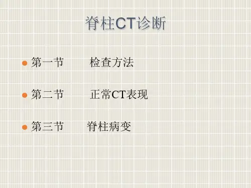 (新)脊柱CT诊断