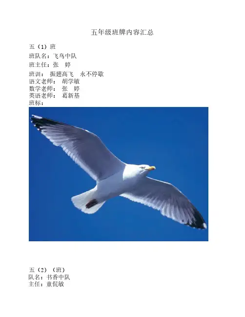 五年级班牌内容汇总