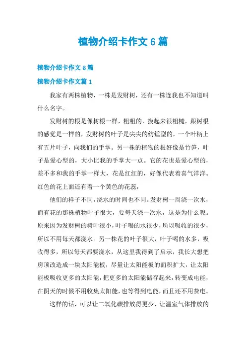 植物介绍卡作文6篇