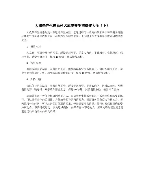 大成拳养生桩系列大成拳养生桩操作大全(下)