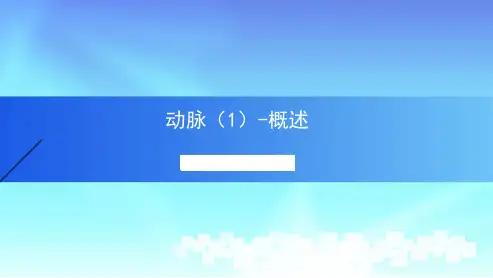 动脉1人体解剖学