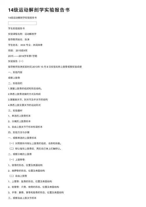 14级运动解剖学实验报告书