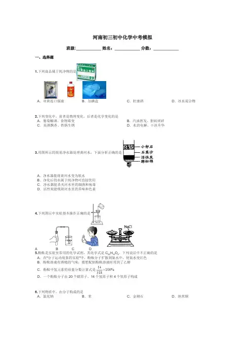 河南初三初中化学中考模拟带答案解析
