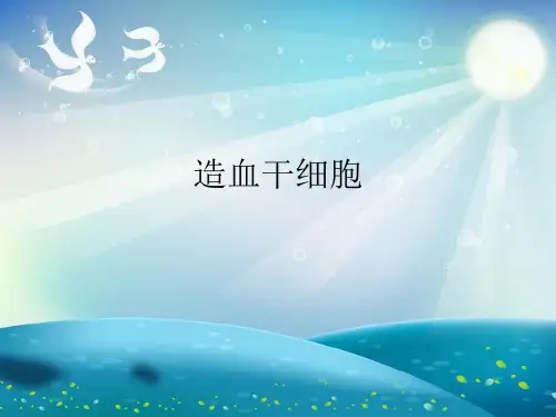 造血干细胞演示文稿