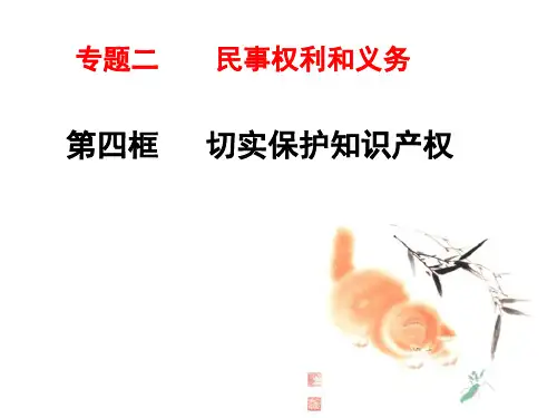 新人教版政治选修5《切实保护知识产权》ppt课件
