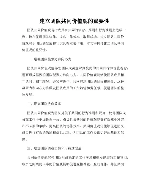 建立团队共同价值观的重要性