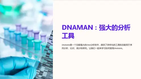 DNAMAN的使用方法