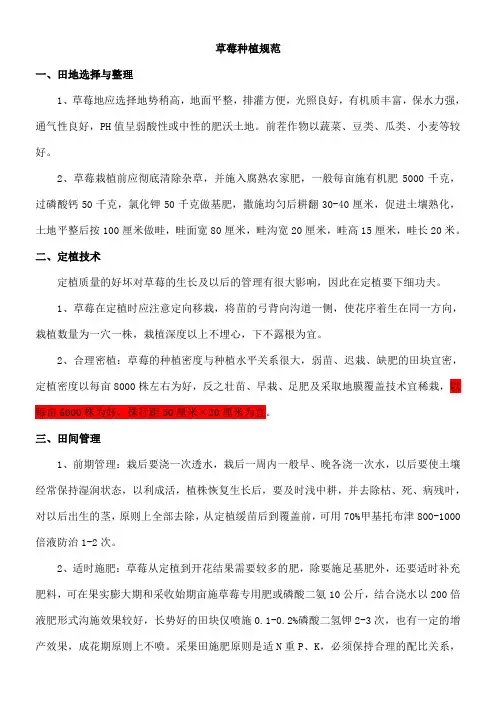 草莓栽培技术要点