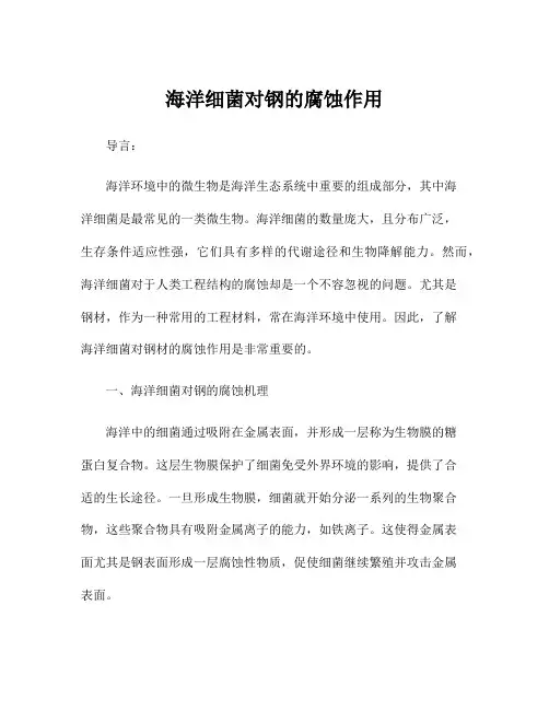 海洋细菌对钢的腐蚀作用