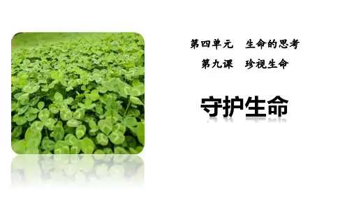 《守护生命》PPT优质教学课件