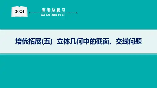 2024年高考数学二轮复习专题三立体几何培优拓展(五)  立体几何中的截面、交线问题