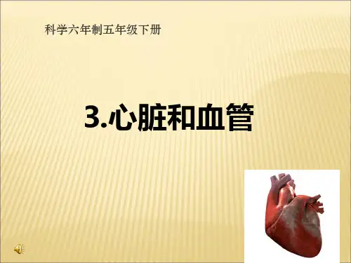 心脏和血管(课件)