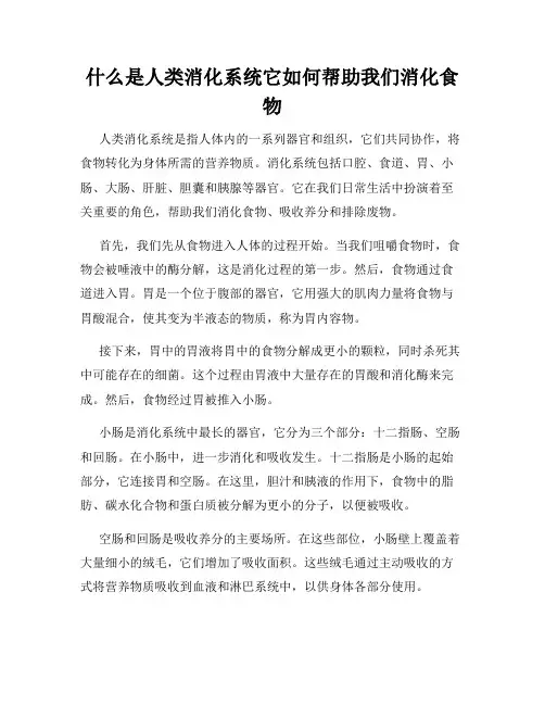 什么是人类消化系统它如何帮助我们消化食物