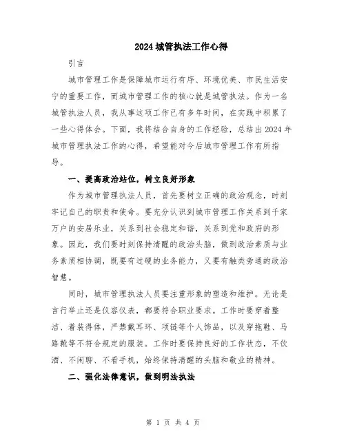 2024城管执法工作心得