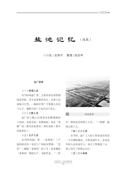 盐池记忆（连载）