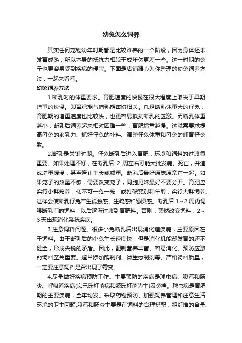 幼兔怎么饲养