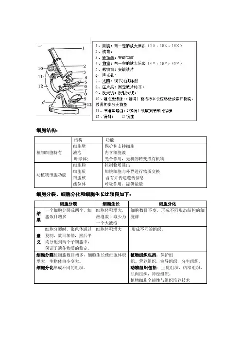 冀教版七年级上册生物复习提纲1