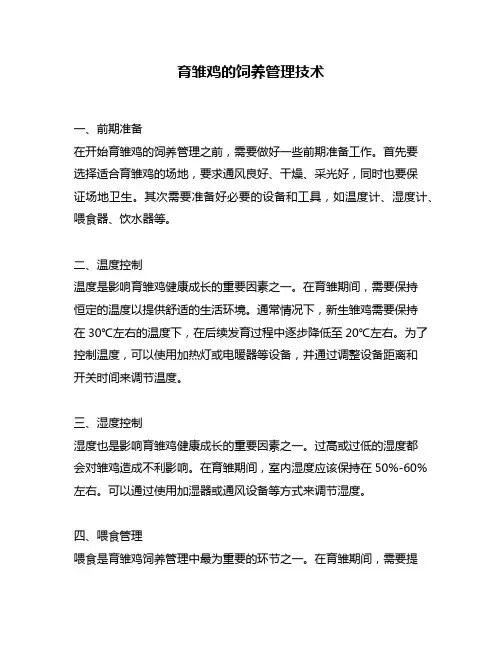 育雏鸡的饲养管理技术